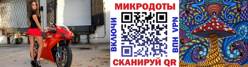 Купить закладки  Лыткарино  Псилоцибиновые грибы Psilocybe 