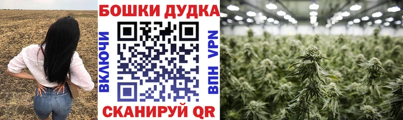 Купить где  Лыткарино  Канабис LSD WEED 